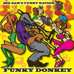 BIg Sam's Funky Nation - Funky Donkey (Dance Mix)