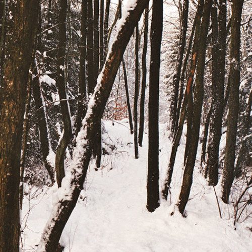 Ólafur Arnalds - For Now I Am Winter (remix thing)