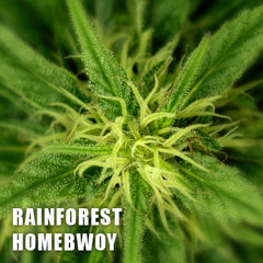 Rainforest - Homebwoy ( Free Tune )