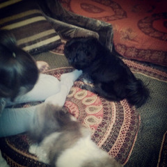 Tripping Natty / Opus-Alpha Version (Teaser)