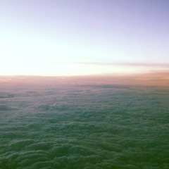 Buzzed Like Bees- Jam