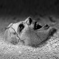 Hoy me he decidido a ser feliz - Letra de Verologi