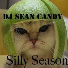 DJ Sean Candy's Silly Season Mix