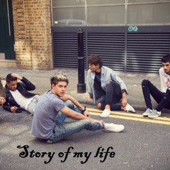 Story of my life - @onedirection (cover by me)