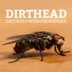 Catch Fly With Chopsticks