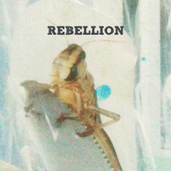 Rebellion