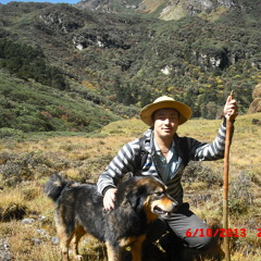 New Tibetan Song 2012 Dong Mar Boed By Tsewang Lhamo