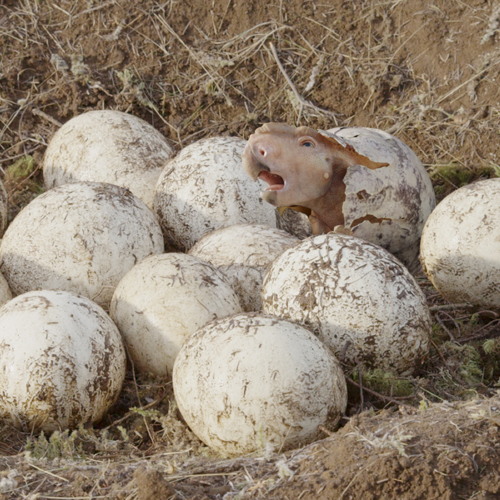 CHUD.com Interview: Barry Cook (Director of Walking With Dinosaurs 3D) - Part 4/5