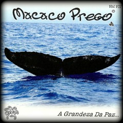 O SOM DO AMOR... 7ºCD / 2010