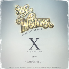 Day 10 Kit 10 (Amplified)