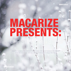 Macarize Christmas 2013