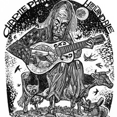 Charlie Parr w/ Alan Sparhawk - Barn Swallows At Twilight