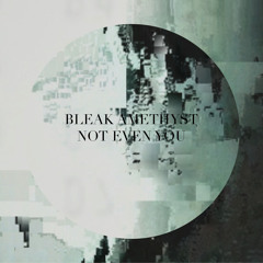 Bleak Amethyst - Not Even You