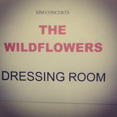 Let it Go - Live on BBC Introducing