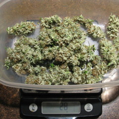 Ajay - 28 Grams (MOJO Productions)