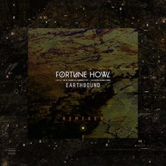 Fortune Howl - Interzone Export (Bwoy De Bhajan Remix)