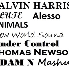 Calvin Harris & Alesso & New World Sound & Thomas Newson - Under Control Flute(Adam N Mashup)