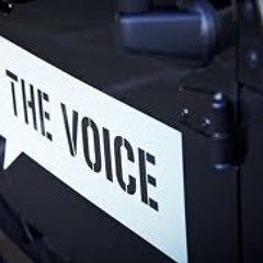 The Voice In The Mix 20-12-13 - Sidelmann Guest Mix