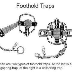 TRAPS0008: Lauren G + Quinn L