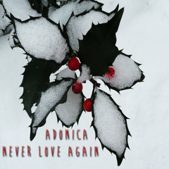 Adonica Nunn-Never Love Again
