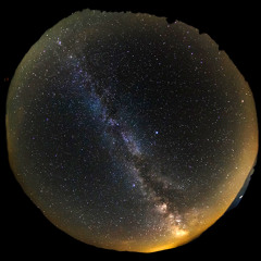 Ghostmilk & Fireweed Honey