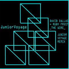 David Dallas Feat Ruby Frost The Wire Junior Voyage Remix