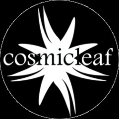 VA Cosmicleaf Records