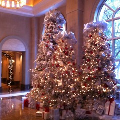 O Christmas Tree Demo