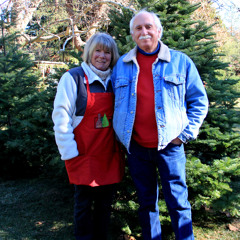 Christmas Wreaths from a Ghost Town