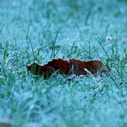 BrrR iTs GeTTin ChiLL In HeRe