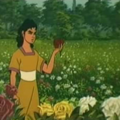 رحلة الخلود~يا نورًا أشرق يا وضّاح