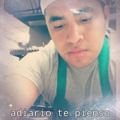 aquien tu decidiste amar