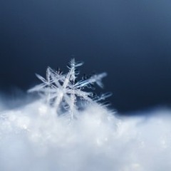 Winter Snow (Cover of Audrey Assad, featuring Lisa Prokopowitz)