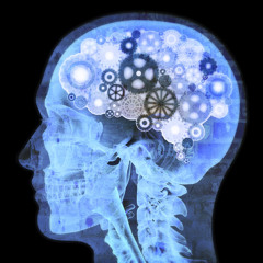 Mindfulness Training