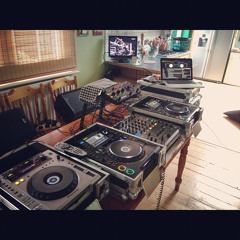 DJ Zinc Ft Miss Dynamite - Wile Out (Bassline Bourne Remix)