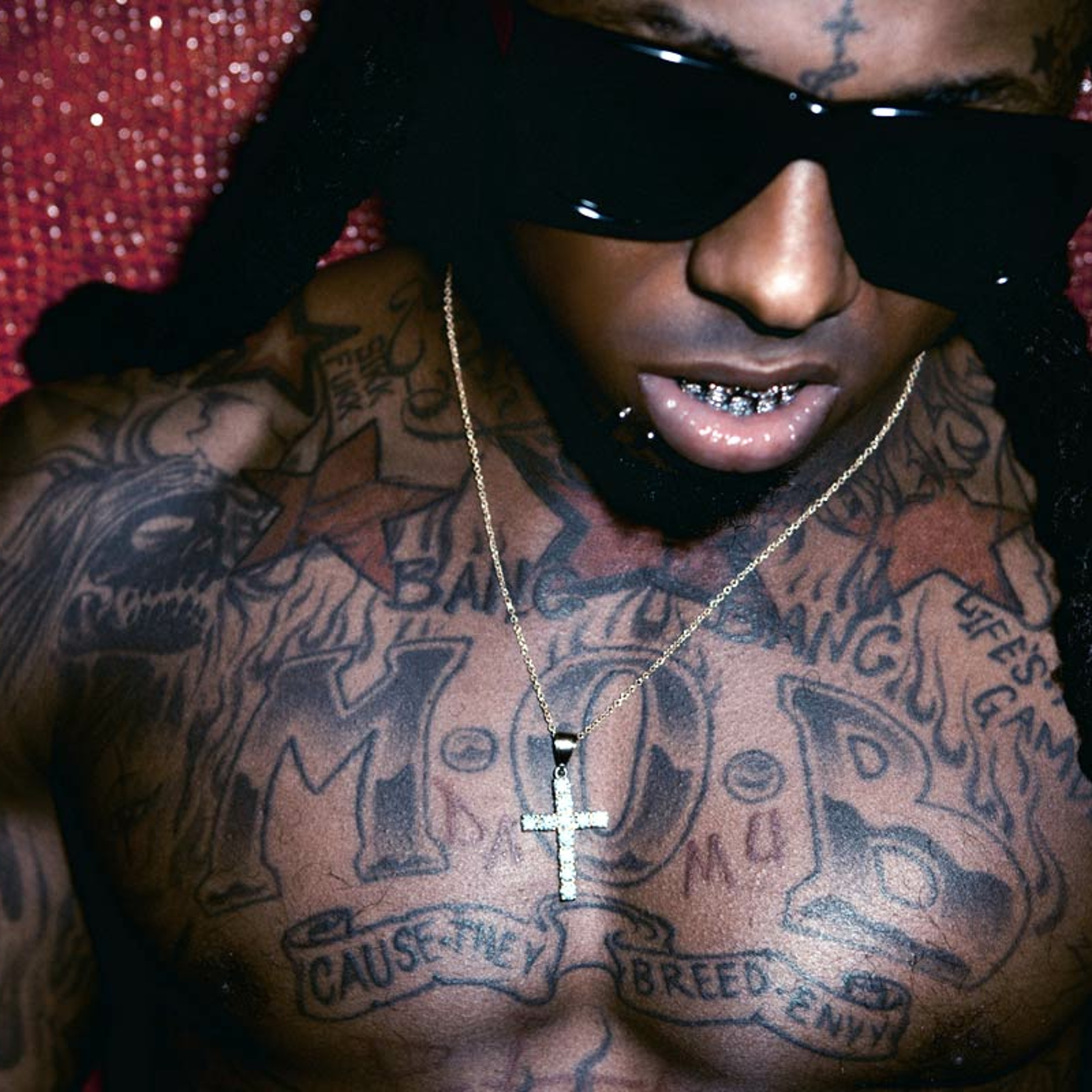 I'm Not Wayne episode artwork
