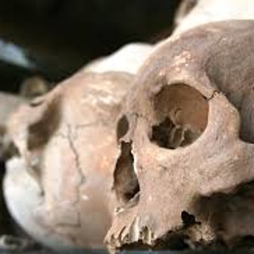 PLAZID - Killing Fields