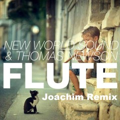 Flute (Joachim Remix) - New World Sound & Thomas Newson