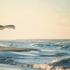 تتر نهاية آدم وجميله