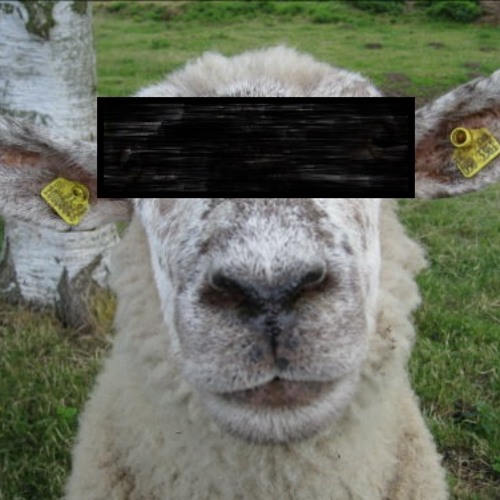 Peepsheet