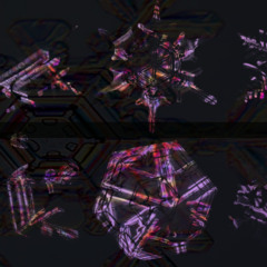 Nux Vomica - Epiphany Part V