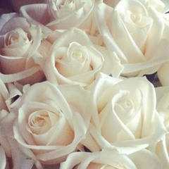 Mujhe Tum Nazar Se Gira To Rhe Ho..