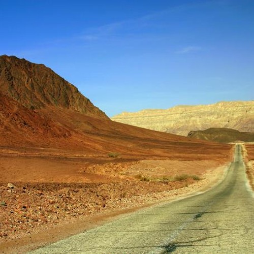 Trail to nowhere (Дорога в никуда)