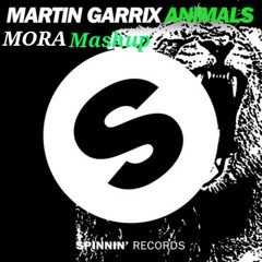 GregorI KlosmaN Ft. MartiN GarriX  -  ComE ON AnimalS  ( Dj Mora Mash-Up )