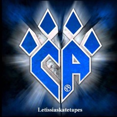 Cheer Athletics Cheetahs 2013-2014