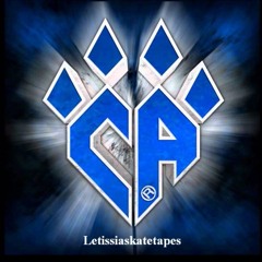 Cheer Athletics Panthers 2013-2014