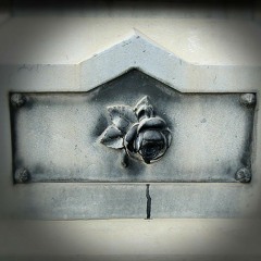 Through The Veil Of Winter