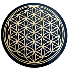 ilLucidॐdivine