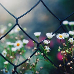 أسرار الأذان..لماذا نقول لاحول ولاقوة إلا بالله مع المؤذن؟