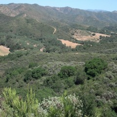 Lj_mayo - Apex Predator prod. Zu3s